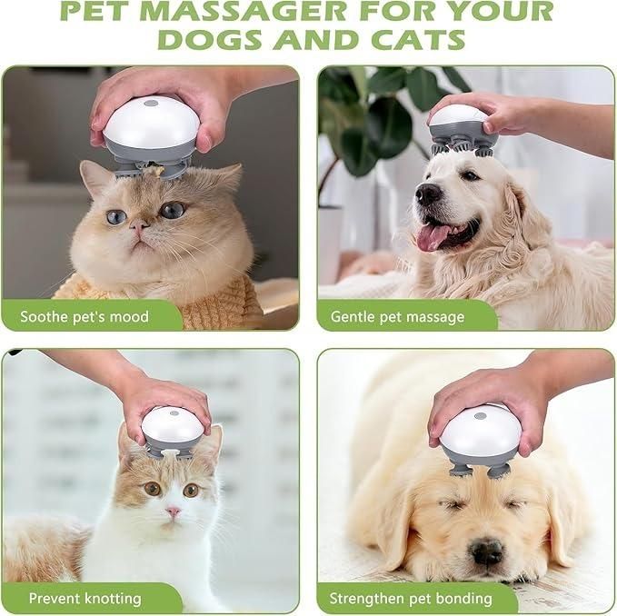 Electric head Massager